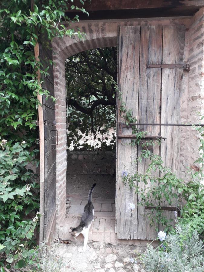 Hostal La Palombaia Spoleto Exterior foto