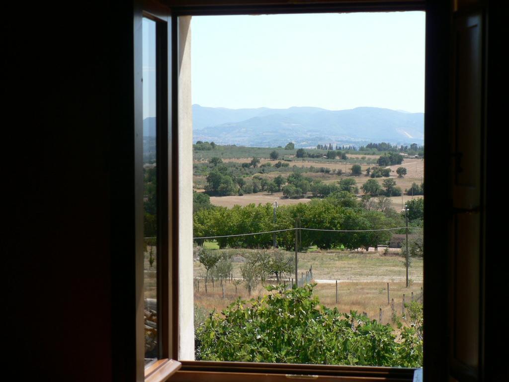 Hostal La Palombaia Spoleto Exterior foto